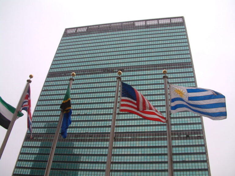 INTERNATIONAL YEARS OF UNITED NATIONS